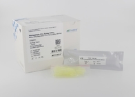 POCT Hemoglobin HbA1c Test Kiti İmmünofloresan Kromatografi Yöntemi